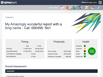 Report Preview